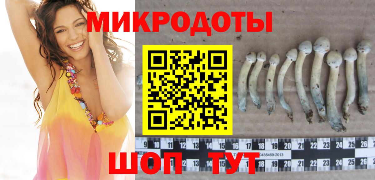Чайковский  Псилоцибиновые грибы прущие грибы  Псилоцибиновые грибы мицелий  Вход с VPN 